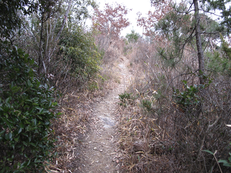 20140125hike (470)